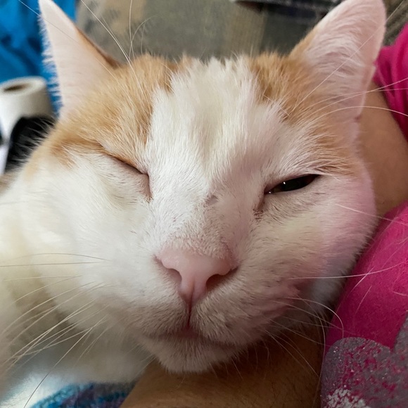 Meet your Posher, Shawn - Picture 1 of 1